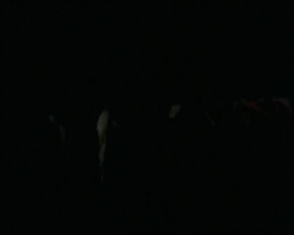 PDVD_173.jpg