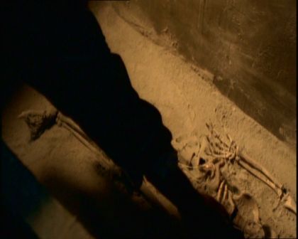 PDVD_177.jpg