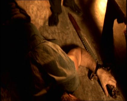PDVD_1779.jpg