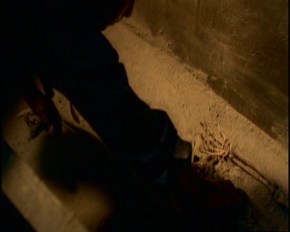 PDVD_178.jpg