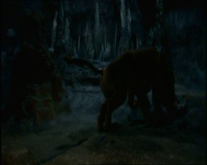 PDVD_194.jpg