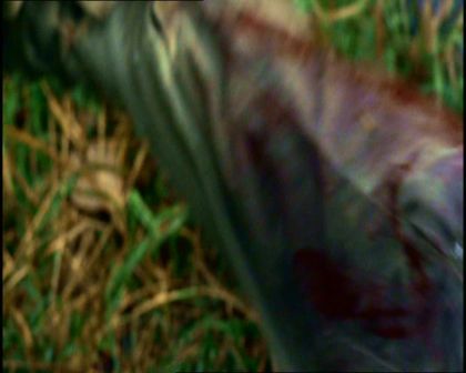 PDVD_342.jpg