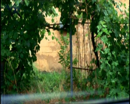 PDVD_417.jpg