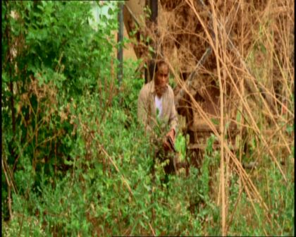 PDVD_430.jpg