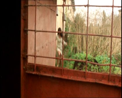 PDVD_437.jpg