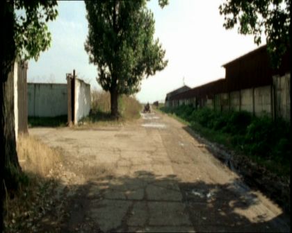 PDVD_445.jpg