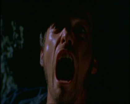 PDVD_966.jpg
