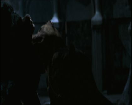 PDVD_979.jpg