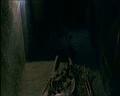 PDVD_1047
