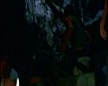 PDVD_1061
