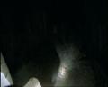 PDVD_1074