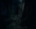 PDVD_1163