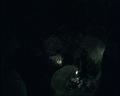 PDVD_1264