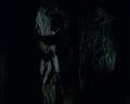 PDVD_1314