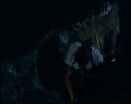 PDVD_1379