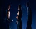 PDVD_1528