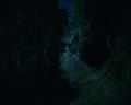 PDVD_1543