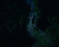 PDVD_1544