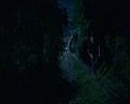 PDVD_1545
