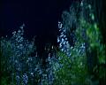 PDVD_1570