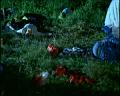 PDVD_1622