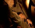 PDVD_1779