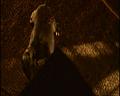 PDVD_2056
