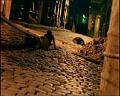 PDVD_2067
