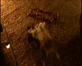 PDVD_2069