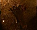 PDVD_2070