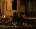 PDVD_2091