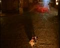 PDVD_2118
