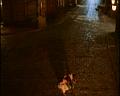 PDVD_2119