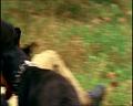 PDVD_339