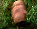 PDVD_340