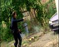 PDVD_422