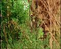 PDVD_428