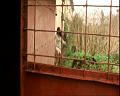 PDVD_437