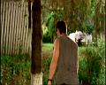 PDVD_604