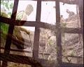 PDVD_671