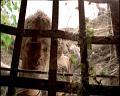 PDVD_675