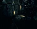 PDVD_789