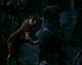 PDVD_971