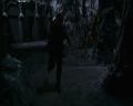 PDVD_972