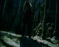 PDVD_974