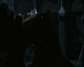 PDVD_980