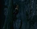 PDVD_989