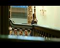 PDVD_451