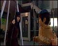 PDVD_4851