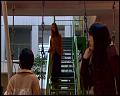 PDVD_4855